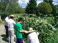 aaCIMG7316.jpg